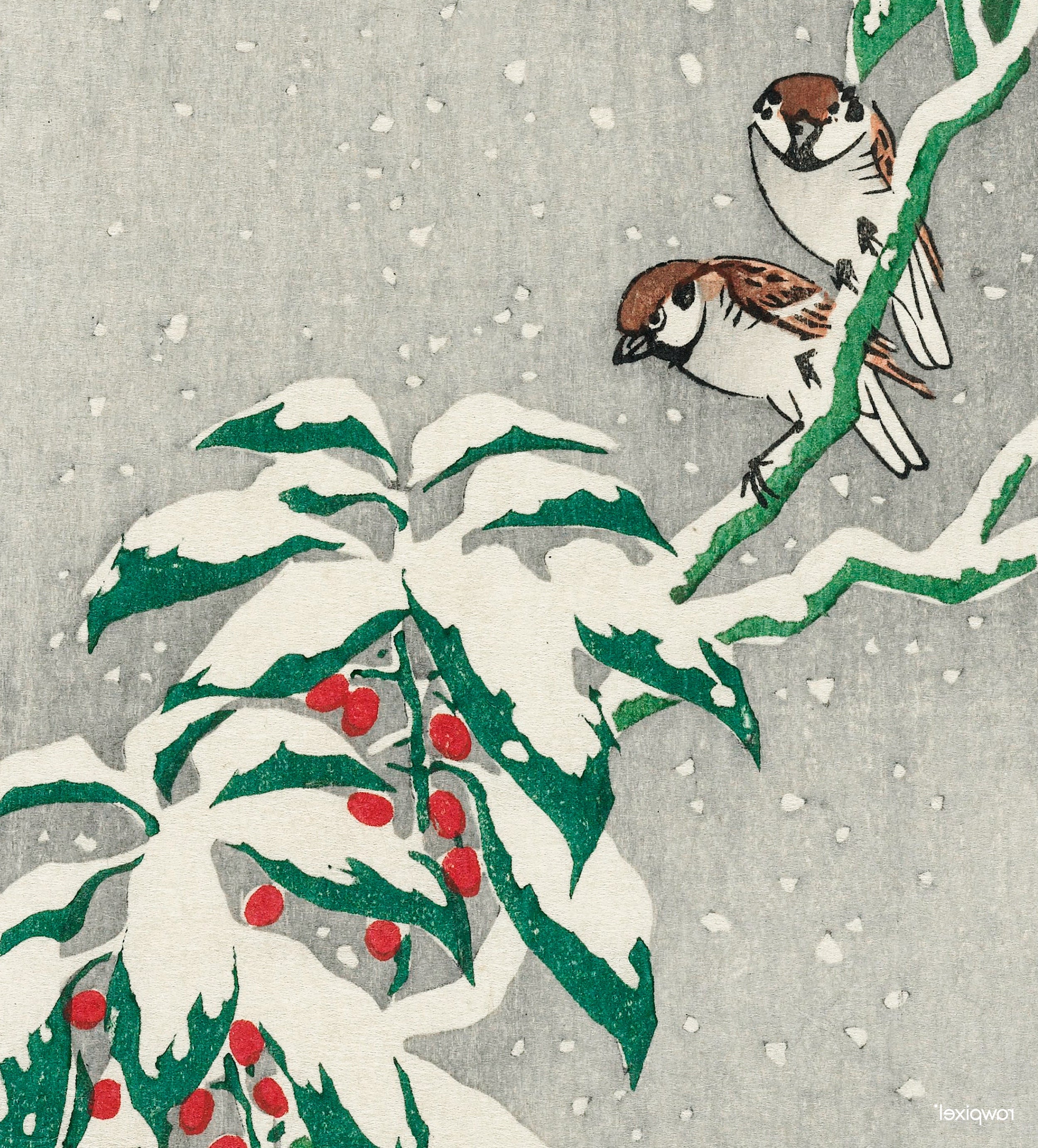 Two birds perched on a snow-covered branch with red berries against a gray background